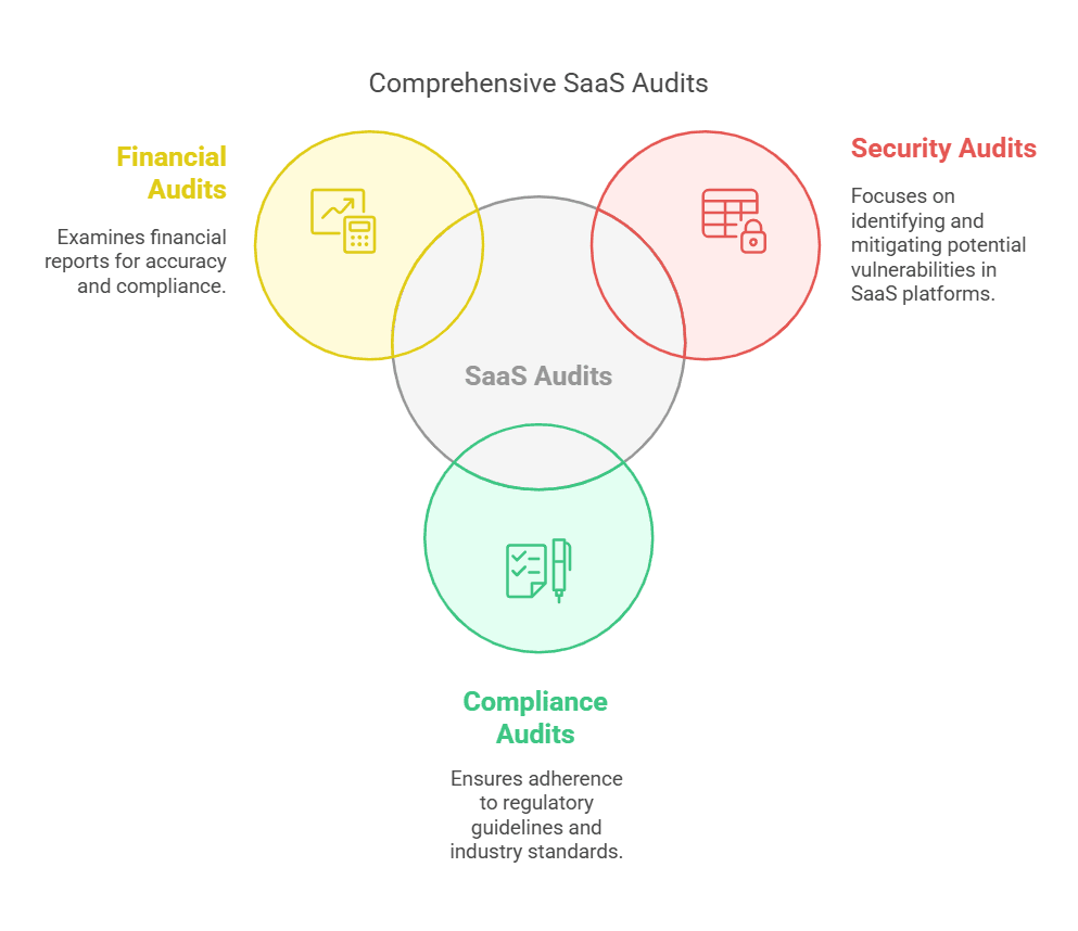 Types of SaaS Audits - visual selection.png